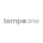 Tempo one logo gris transparent