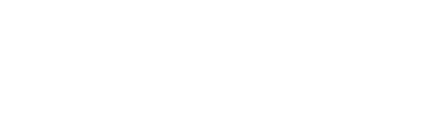 Logo de DataFret en blanc "transparent"